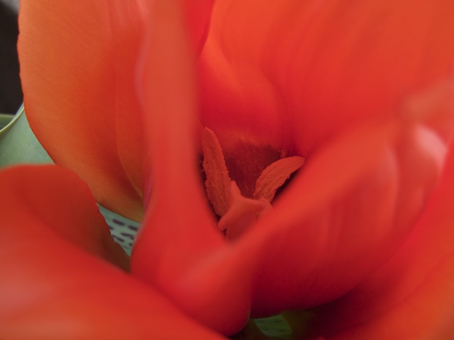 e0047682_141255100.jpg