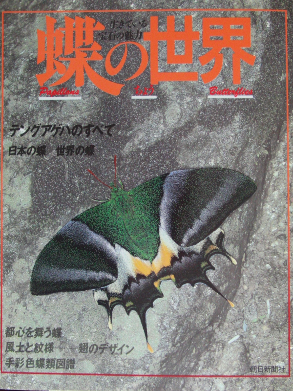 五十嵐 邁展 : 小畔川日記 五十嵐 邁展 : 小畔川日記