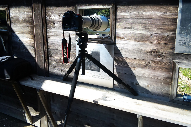 【ゴーヨン】Canon EF500mm F4L IS USM EF500mm F4L IS USM - キヤノンカメラミュージアム