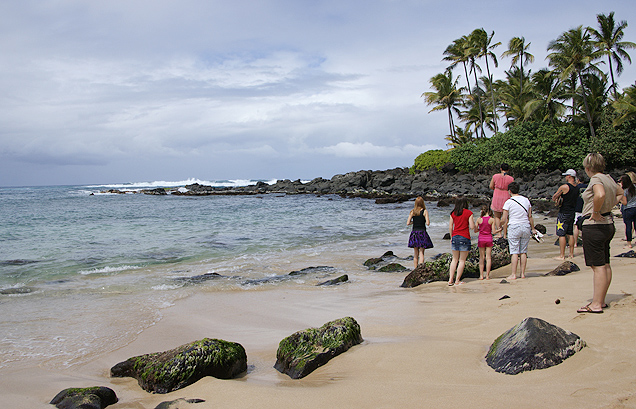 ビーチの主は守り神 ー in Hawaii ー_c0193887_23514014.jpg