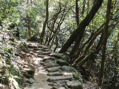 c0171889_1131537.jpg