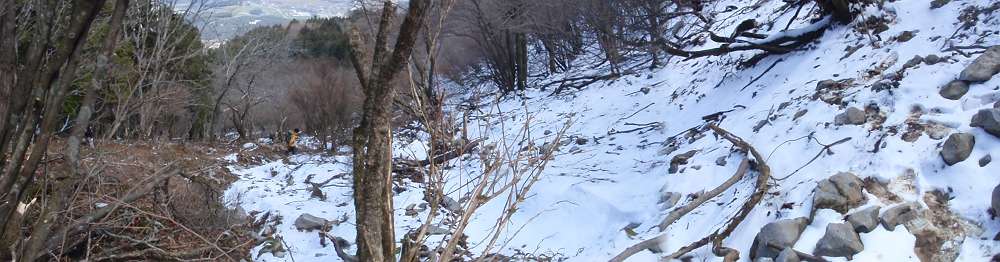 a0152692_1981335.jpg
