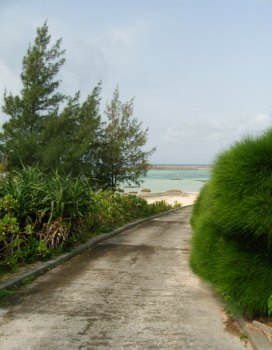 久米島旅行記・その３_f0165392_06271.jpg