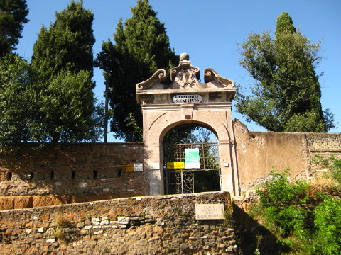 c0180096_79530.jpg