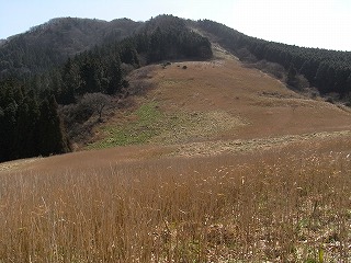 f0187402_828484.jpg