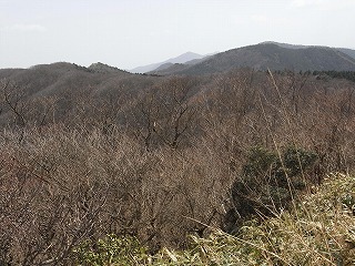 f0187402_8291398.jpg