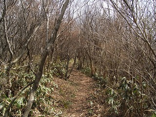 f0187402_8292296.jpg