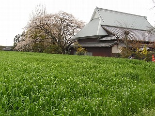 f0187402_8294460.jpg