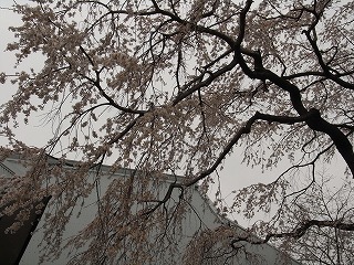 f0187402_8295255.jpg