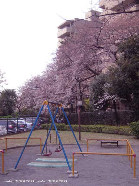 3つのL_b0164803_23234278.jpg