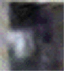 e0103408_12381327.gif