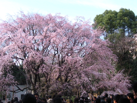 b0042310_0182560.jpg