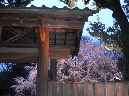 b0042310_0361783.jpg