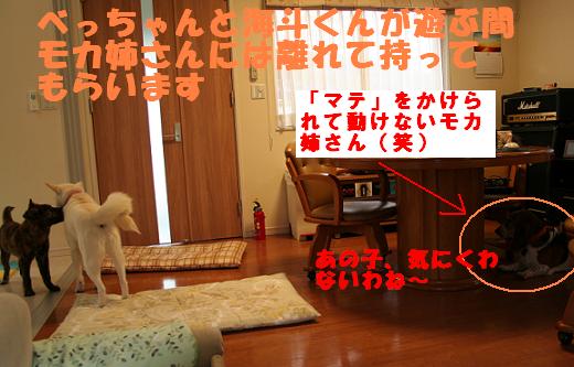 f0121712_16181492.jpg