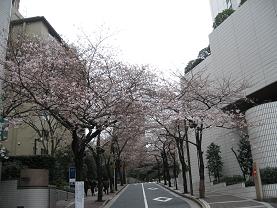 a0152314_20245956.jpg
