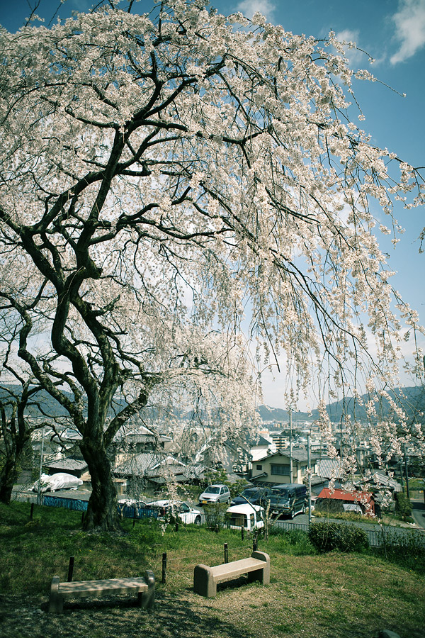 c0115616_176469.jpg