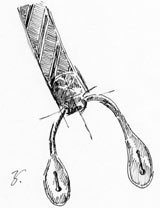f0227716_17255919.jpg