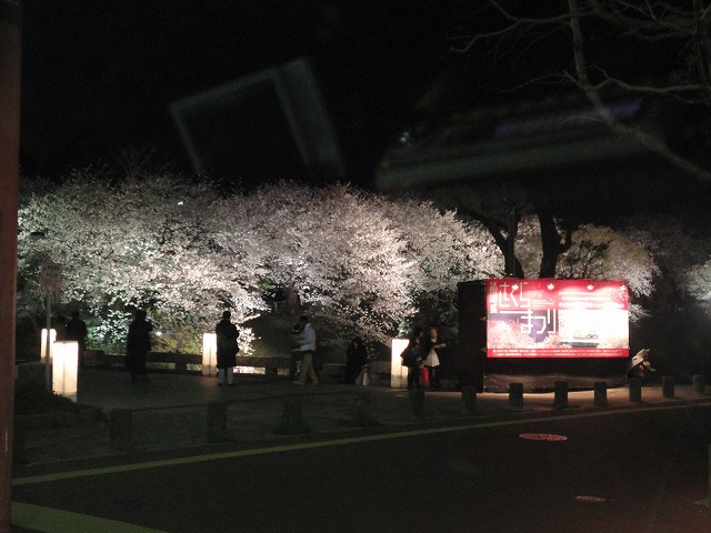 春、、、それは、桜+花見+入社、転勤、移動の季節_a0110720_1259954.jpg