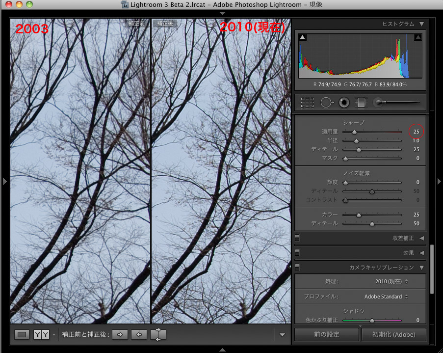 Lightroom 3 のシャープネス_f0077521_12545349.jpg