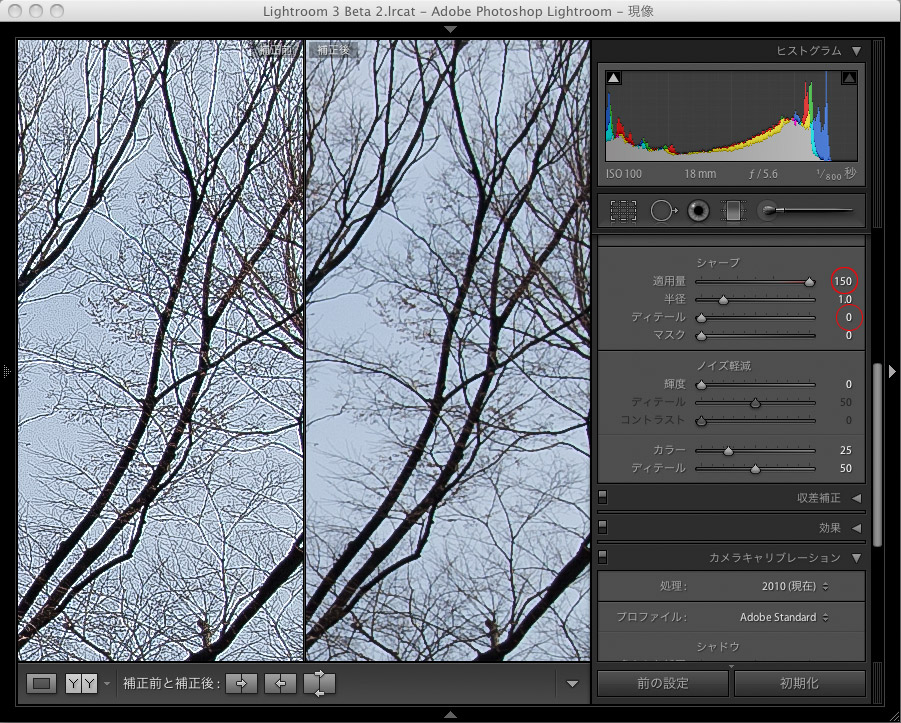 Lightroom 3 のシャープネス_f0077521_13334947.jpg