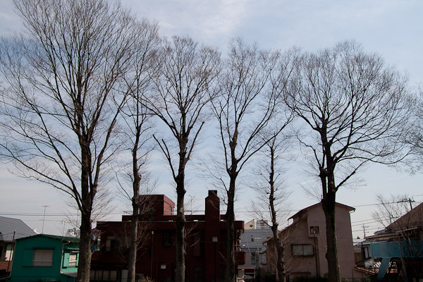 f0077521_1702264.jpg