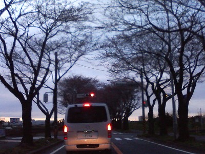 c0128722_173719.jpg