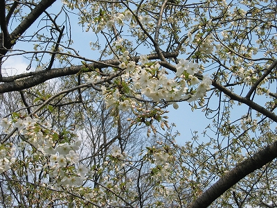 f0203324_144087.jpg