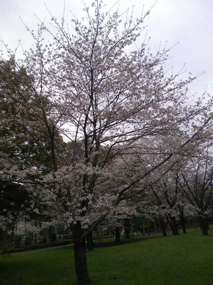 c0125637_15393368.jpg