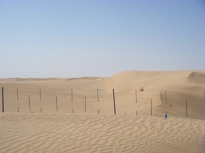 b0177640_21162822.jpg