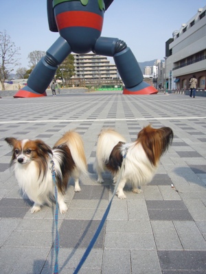 e0100046_21551713.jpg
