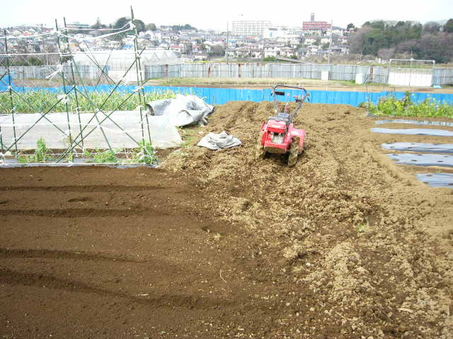 今日も畝作り・・貴重な晴れ間を使って 土を耕します。_c0222448_12205029.jpg