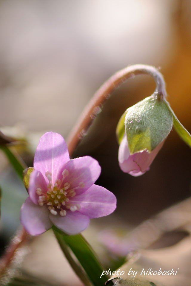 f0224648_10585527.jpg