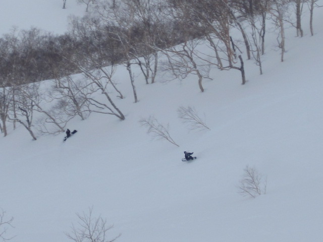 f0209354_1916438.jpg