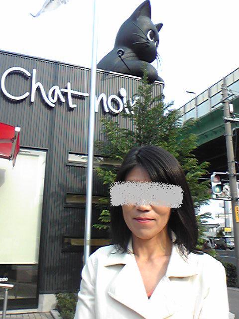 猫好きにはたまらないお店　「Chat-noir東大阪　2010春」_a0129856_2463693.jpg