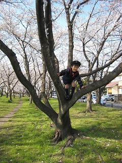 桜の下で写真撮影_d0078060_21431927.jpg