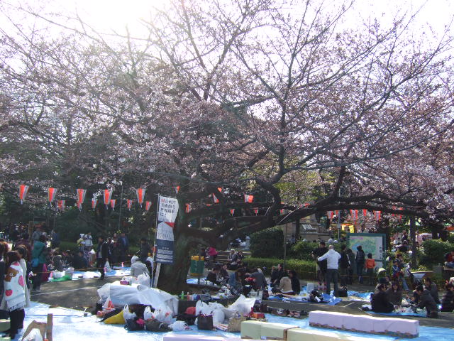 上野恩賜公園の桜祭り_e0009760_83648.jpg