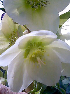 f0213861_19057.jpg