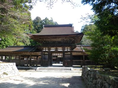 １２分で椎茸４，２キログラム_b0100062_17325586.jpg