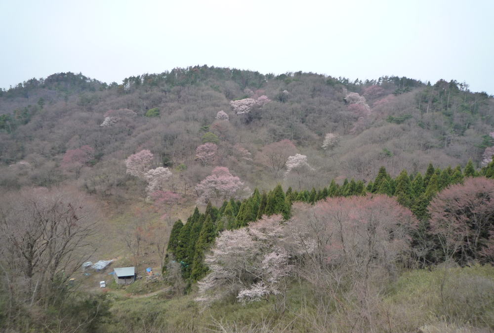 b0129962_1873134.jpg