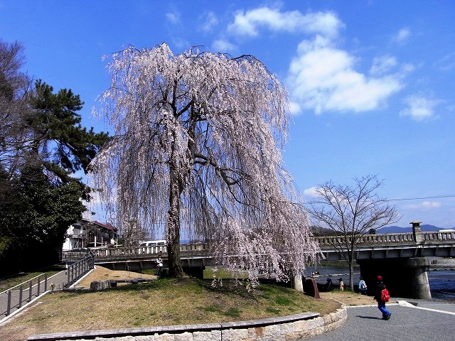 歩育と植物園とコンサート_b0044663_031031.jpg