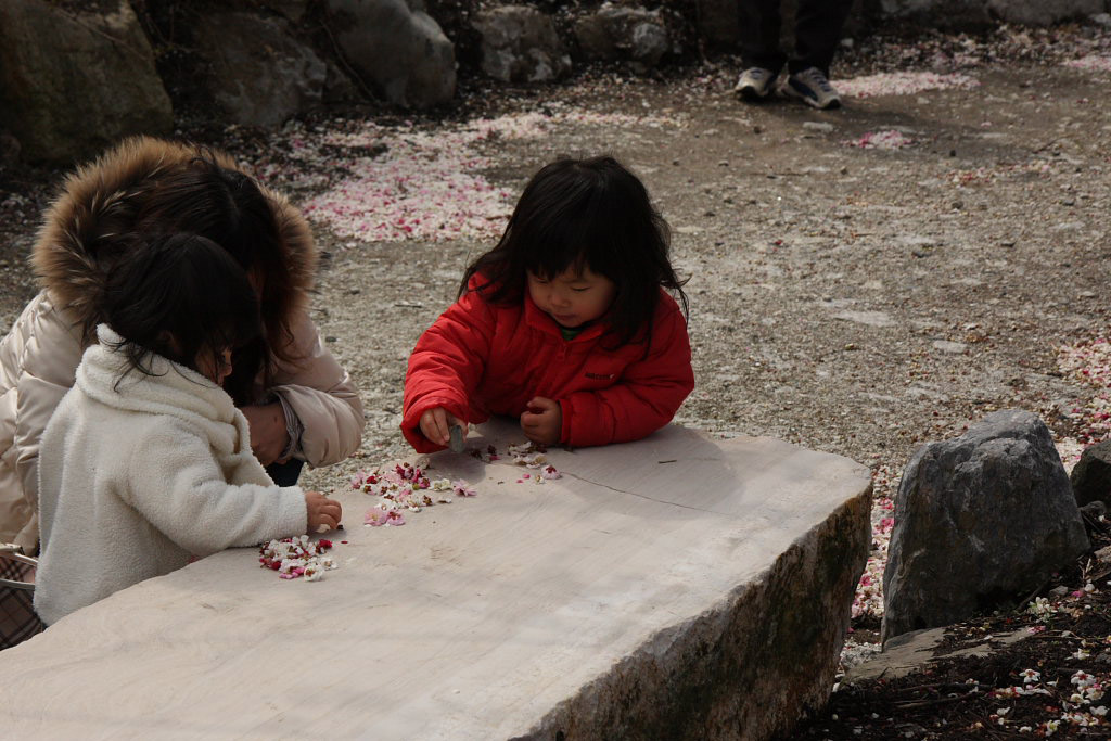 　　山里の梅林公園　その３_f0129465_7521047.jpg