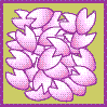a0052666_17204180.gif