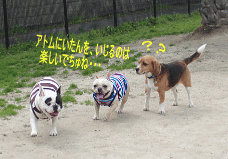 d0152869_18361838.gif