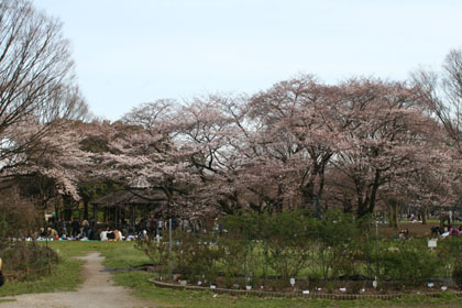 ♪ 頼むよぉ～ ♪_c0161772_2035224.jpg