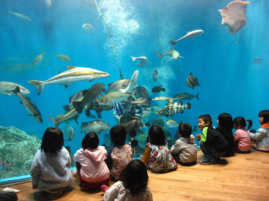 浜名湖体験学習施設 「ウォット」_a0107574_18383152.jpg