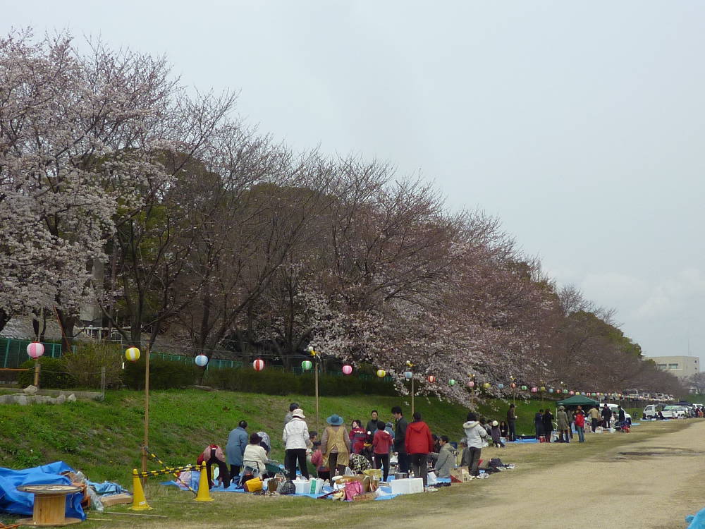 お花見、第２弾でしゅ！_b0184877_19275048.jpg