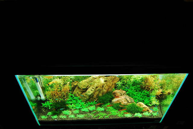 a0070478_0492795.jpg