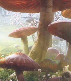 b0138478_3411357.gif