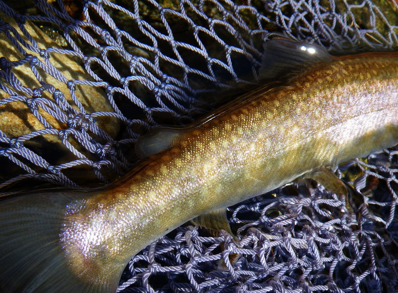 c0197578_054270.jpg