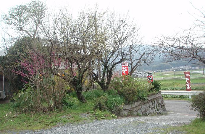 f0101679_10505.jpg